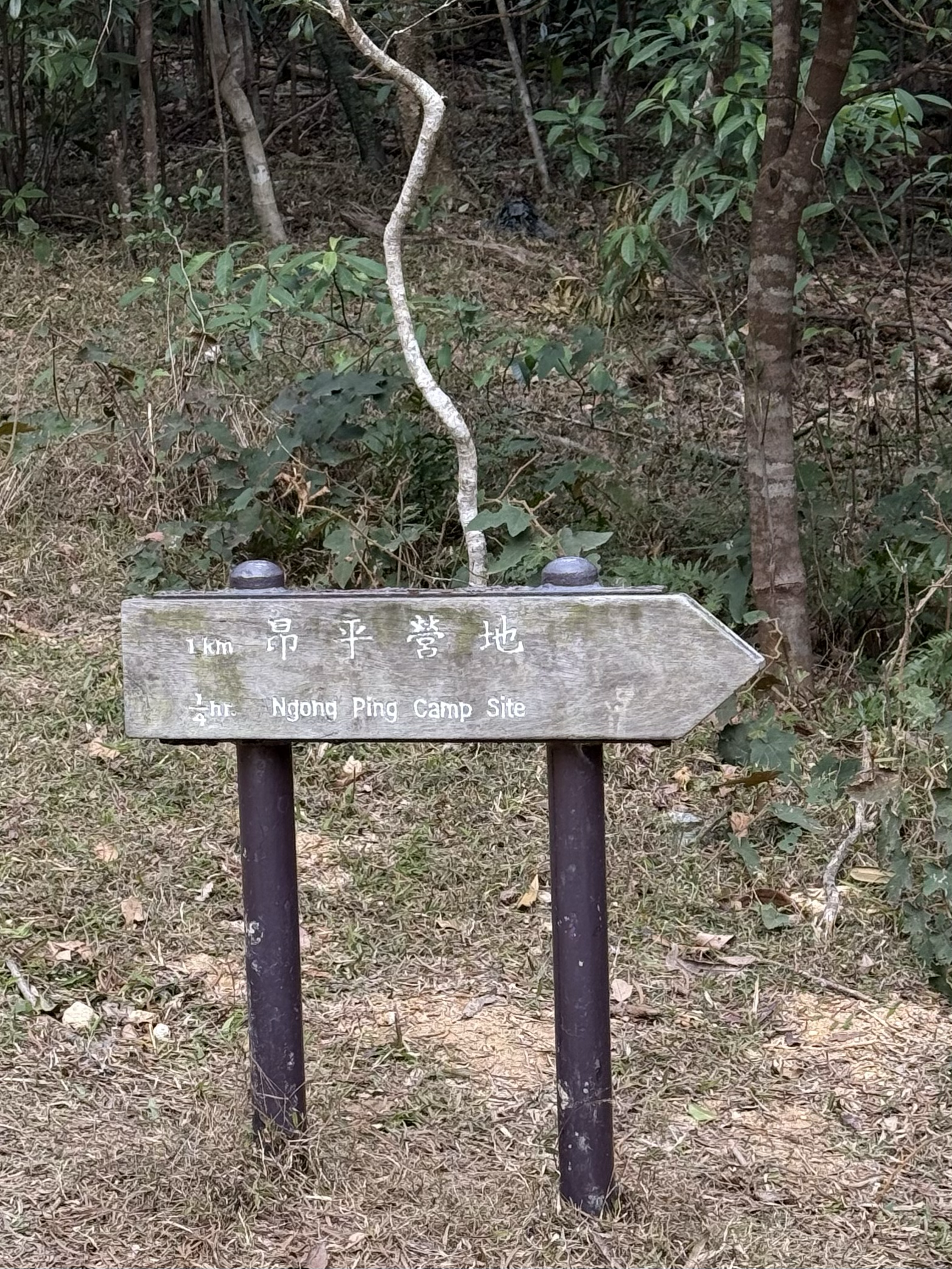 camp_site